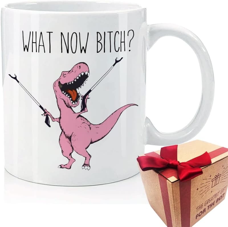 Birthday Gift T-rex Dinosaur Mug for Best Friends