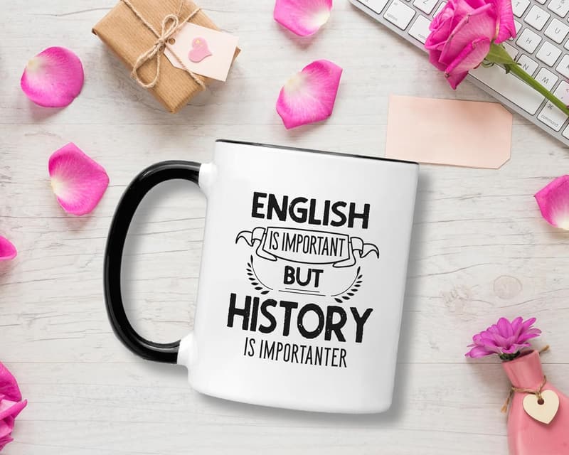 Funny History Mug - 11oz Gift for Teachers & Students