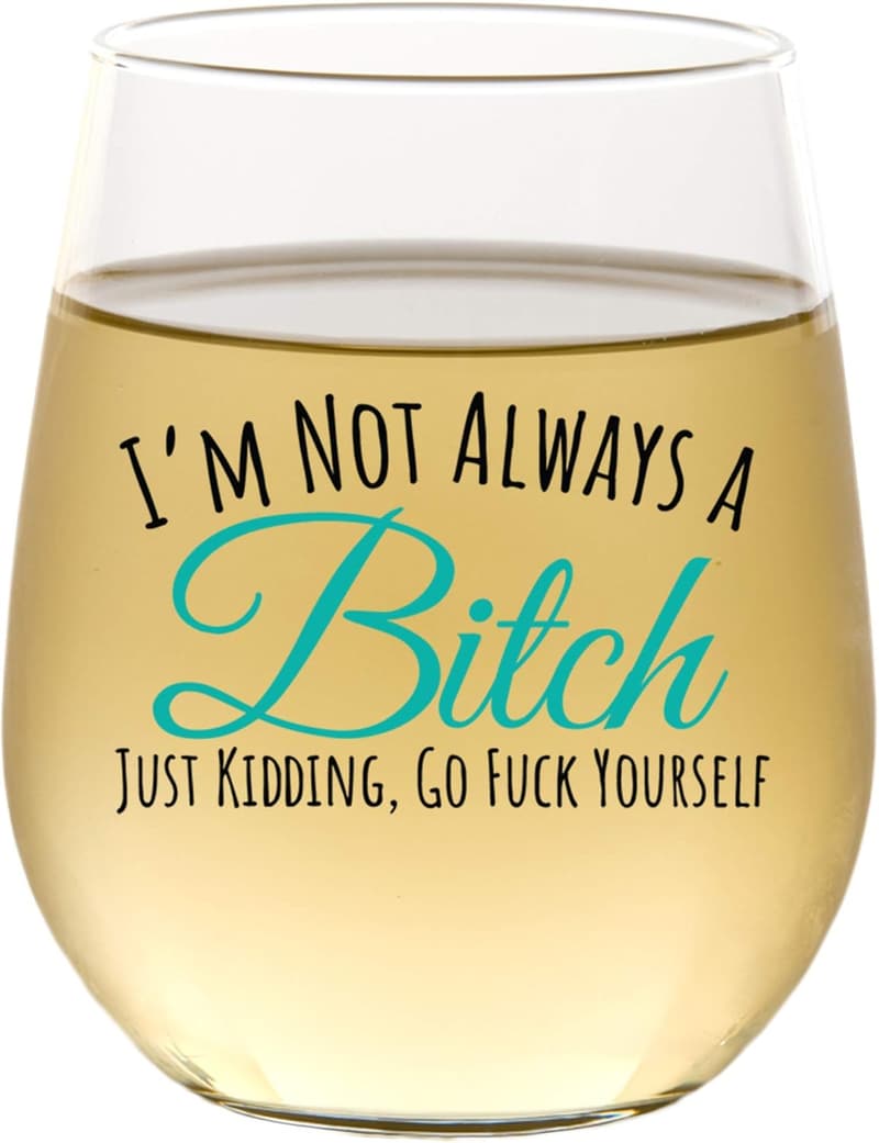 Funny Stemless Wine Glass - Humorous Gift for Friends