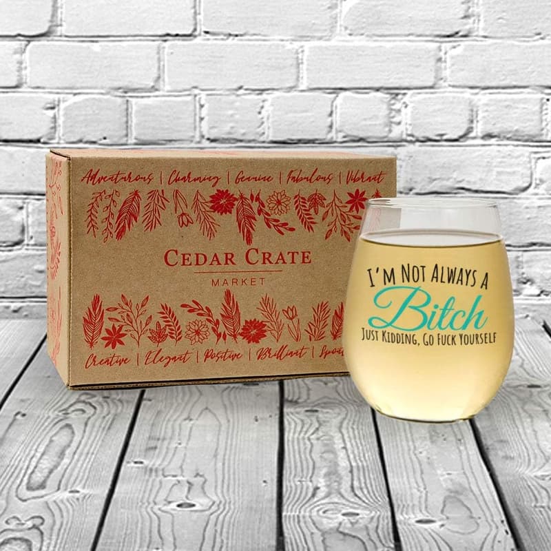 Funny Stemless Wine Glass - Humorous Gift for Friends
