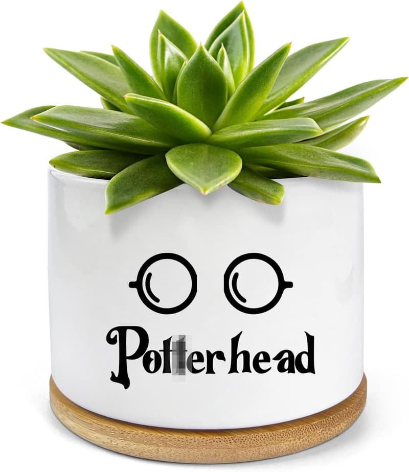 Funny Ceramic Succulent Planter with Drainage and Bamboo Tray