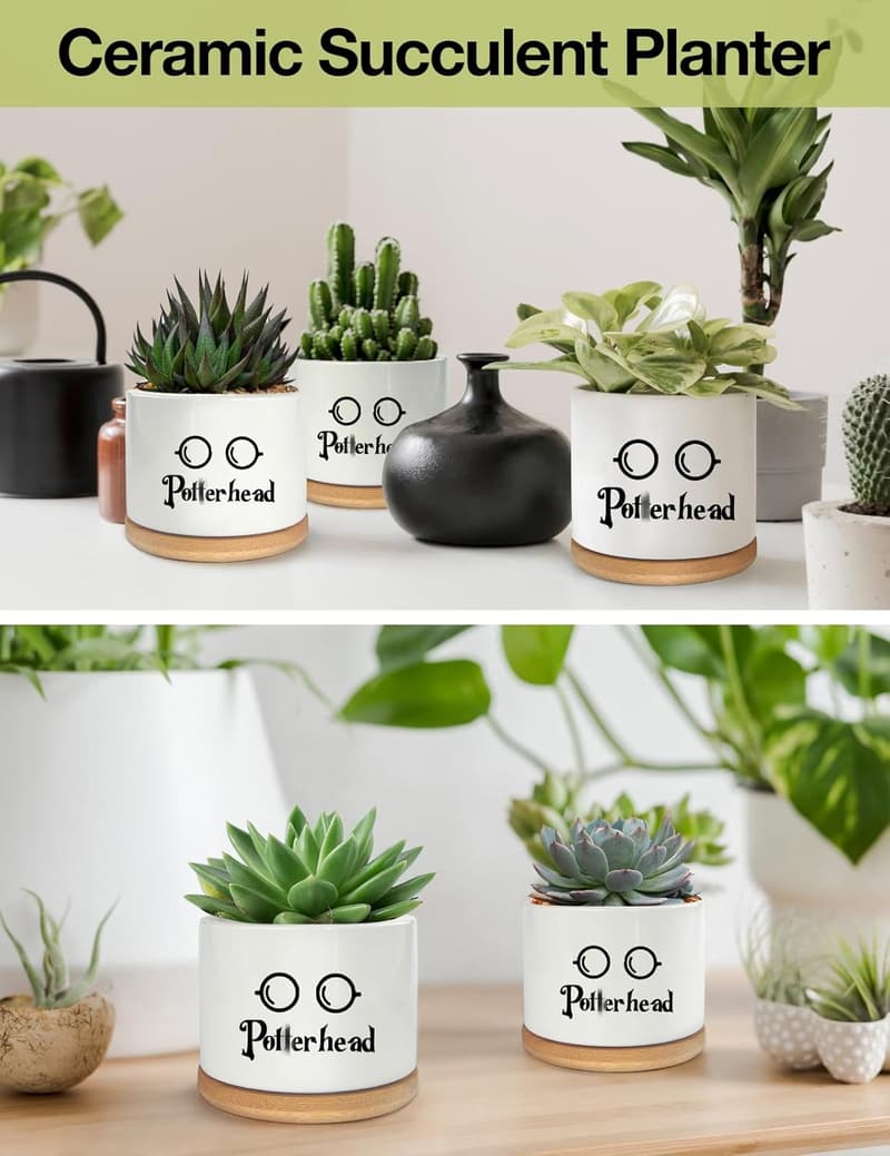 Funny Ceramic Succulent Planter with Drainage and Bamboo Tray