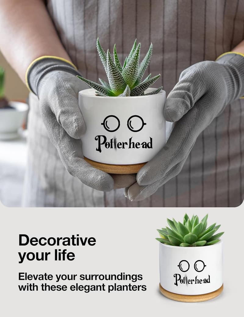 Funny Ceramic Succulent Planter with Drainage and Bamboo Tray