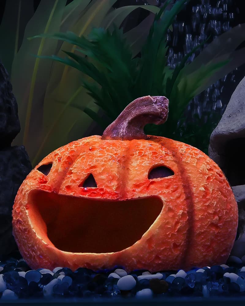 Halloween Resin Pumpkin Aquarium Ornament for Fish Tanks