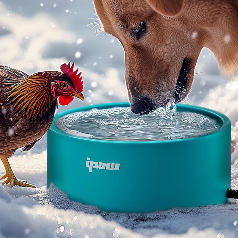 Heated Outdoor Dog Bowl - Anti-Slip & Spill-Proof Blue