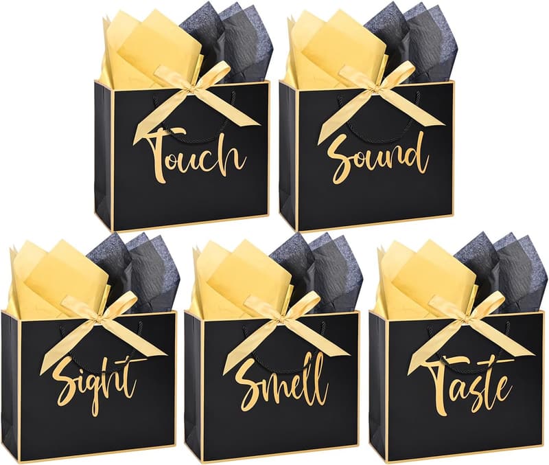 Five Senses Gift Bag for Him - Metallic Design, Handles & Tissue Paper