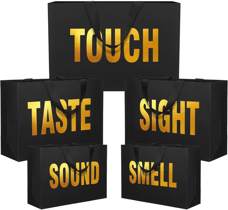 5 Senses Gift Bags for Him - Black Paper with Ribbon Handles