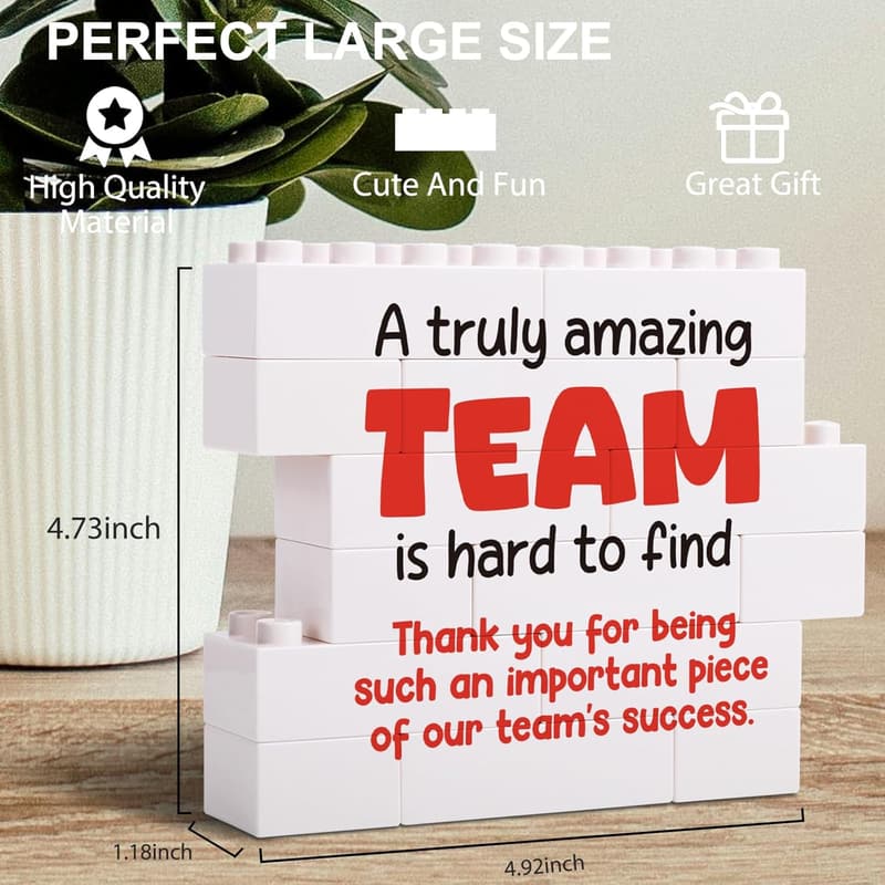 Team Appreciation Desk Decor - Inspirational Thank You Gift