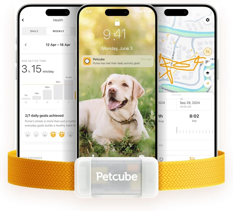 Dog GPS Tracker with Escape Alerts and Activity Monitoring