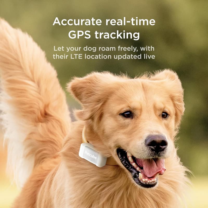 Dog GPS Tracker with Escape Alerts and Activity Monitoring