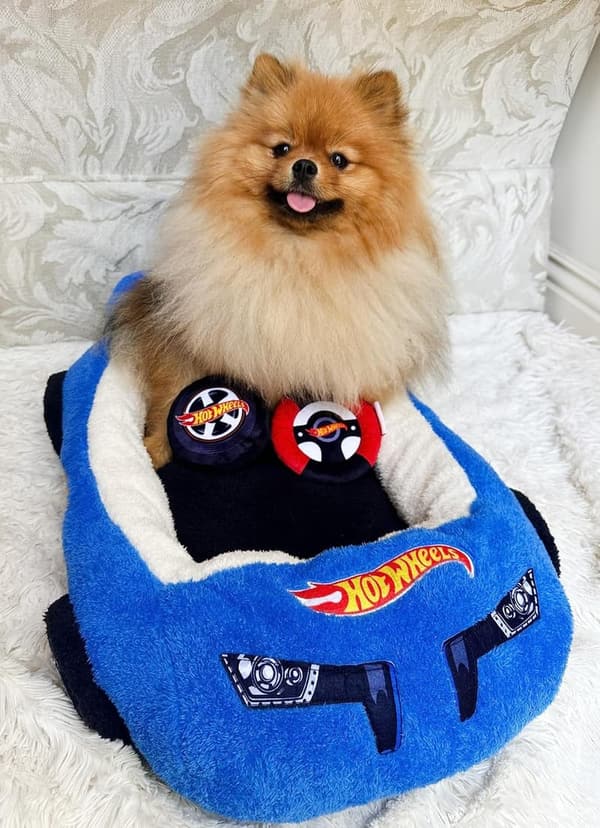 Blue Hot Wheels Plush Car Pet Bed with Steering Wheel for Dogs and Cats