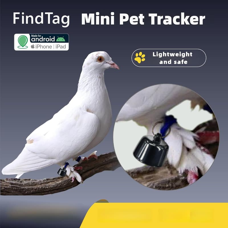 Pet Tracker for Dogs and Cats, Smart Location Tracking Collar