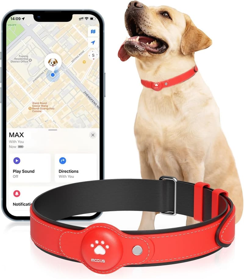GPS Dog Tracker Collar - Real-Time Location, No Monthly Fee