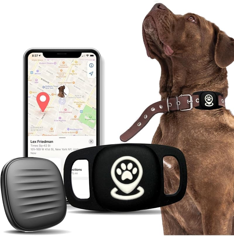 Personalized Dog Location Tracker with Collar Holder
