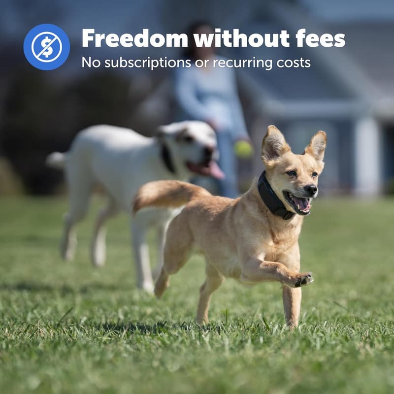 PetSafe Guardian GPS Dog Fence – No Subscription Required