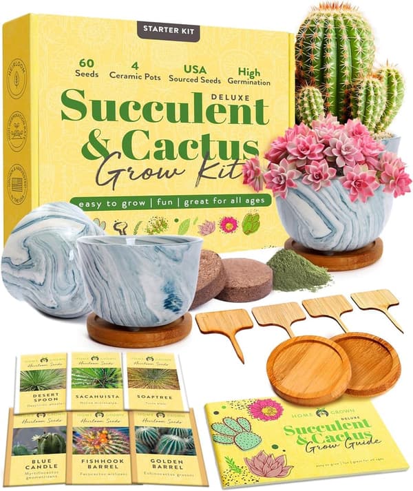 Deluxe Indoor Cactus & Succulent Grow Kit with Pots & Seeds