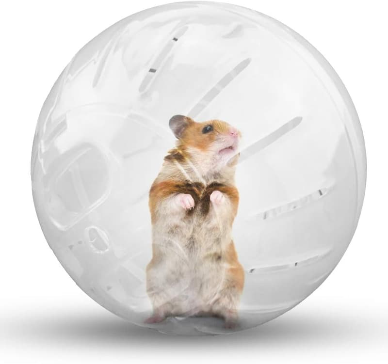 Transparent Hamster Exercise Ball for Increased Activity (4.8