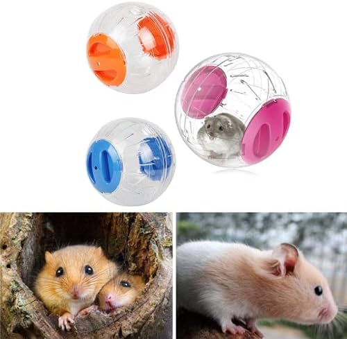 Transparent Hamster Exercise Ball for Increased Activity (4.8