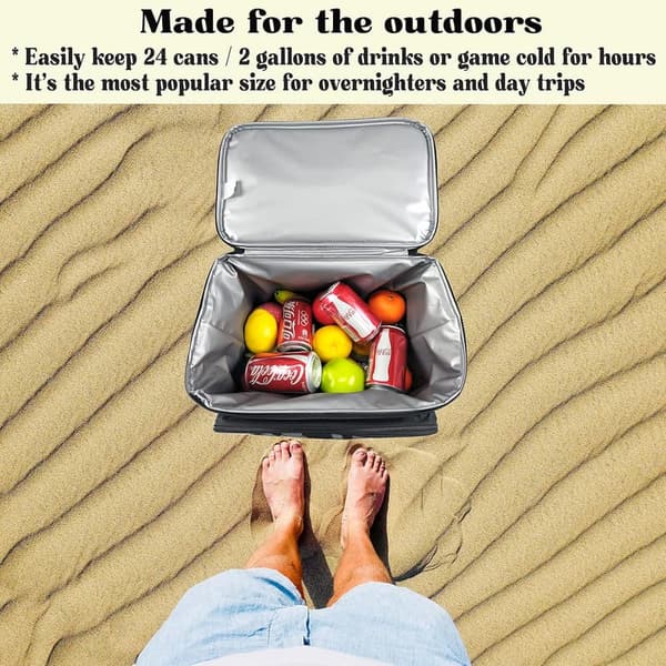 Portable Insulated Cooler Bag with Bluetooth Speakers - 24 Cans