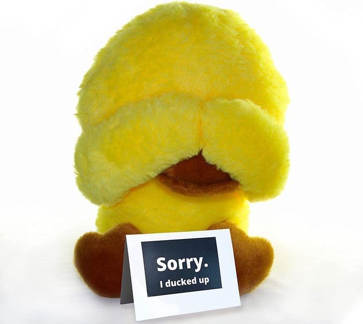 Apology Gift Plush Duck with Card for Couples