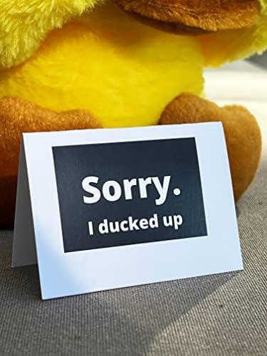 Apology Gift Plush Duck with Card for Couples