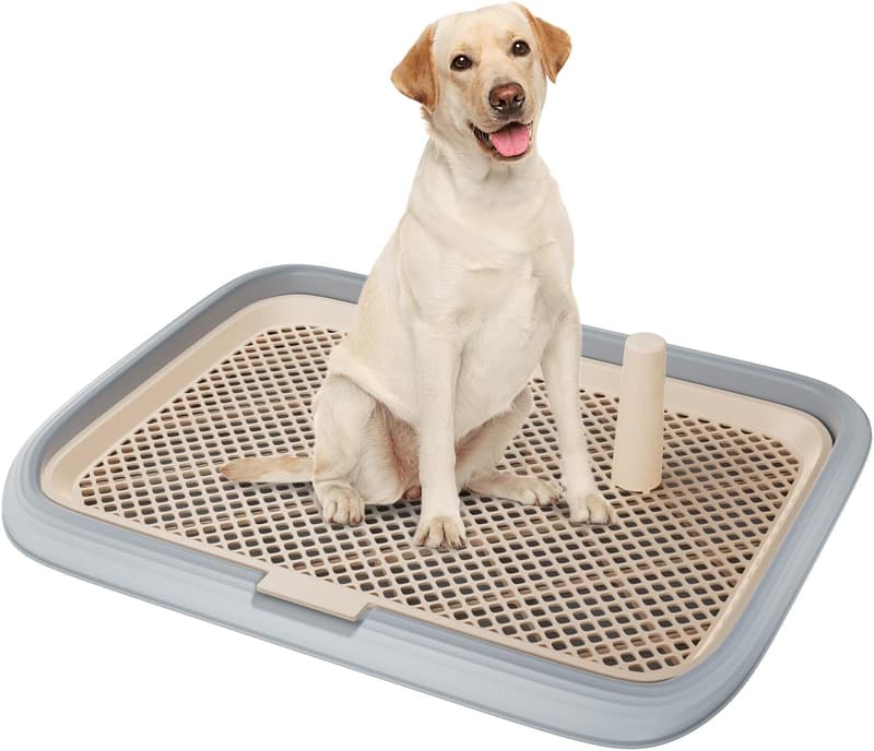 Indoor Dog Potty Tray with Mesh Floor - 23.6