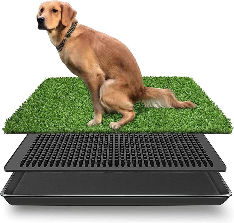 Washable Indoor/Outdoor Dog Grass Training Pad with Tray - 30 x 20 in
