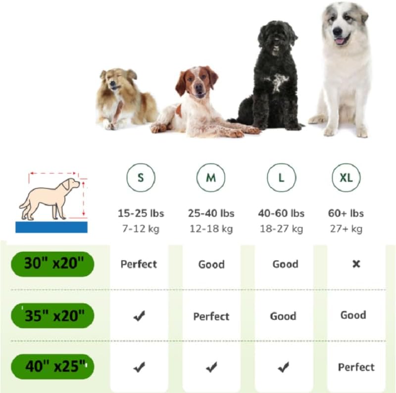 Washable Indoor/Outdoor Dog Grass Training Pad with Tray - 30 x 20 in