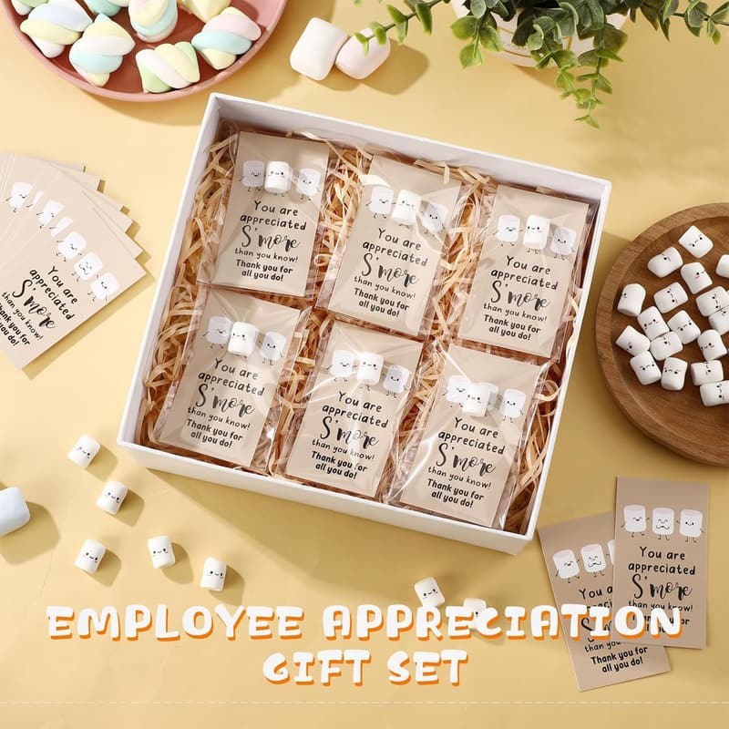 Employee Appreciation Mini Marshmallow S'mores Gift Sets