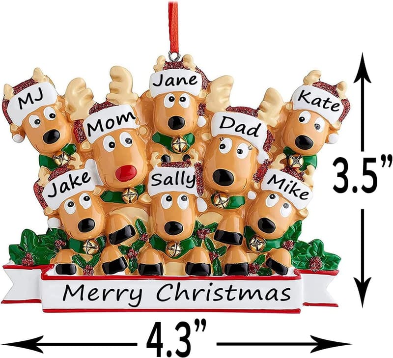 Personalized Family Christmas Ornaments 2025 - Custom Name