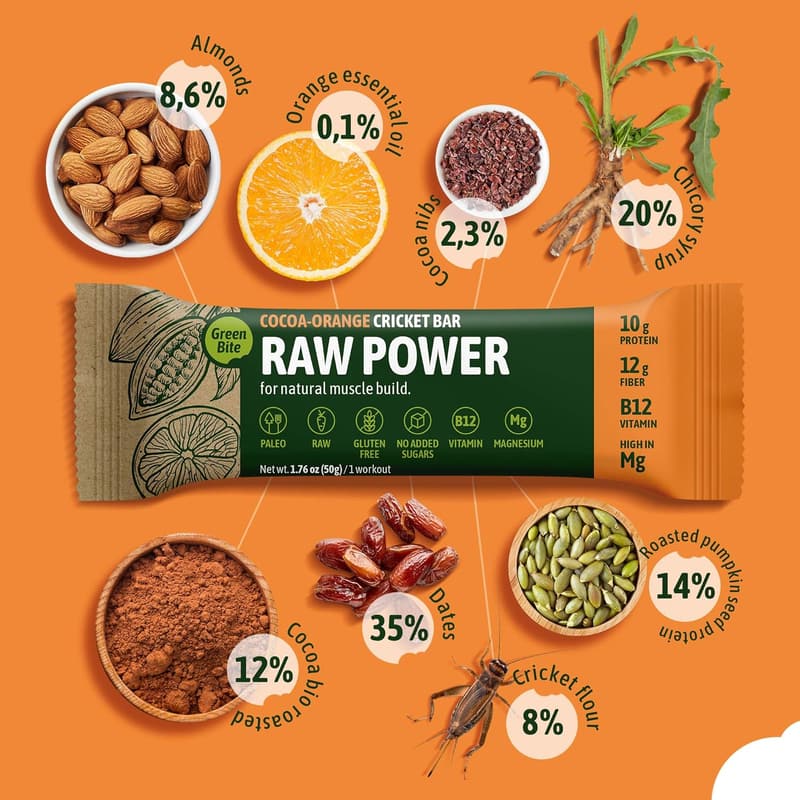 Cocoa Orange Cricket Protein Bars - Nutritious Meal Replacement (Pack of 8)