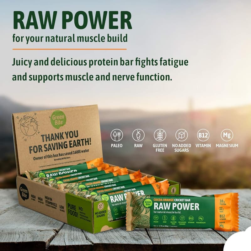 Cocoa Orange Cricket Protein Bars - Nutritious Meal Replacement (Pack of 8)
