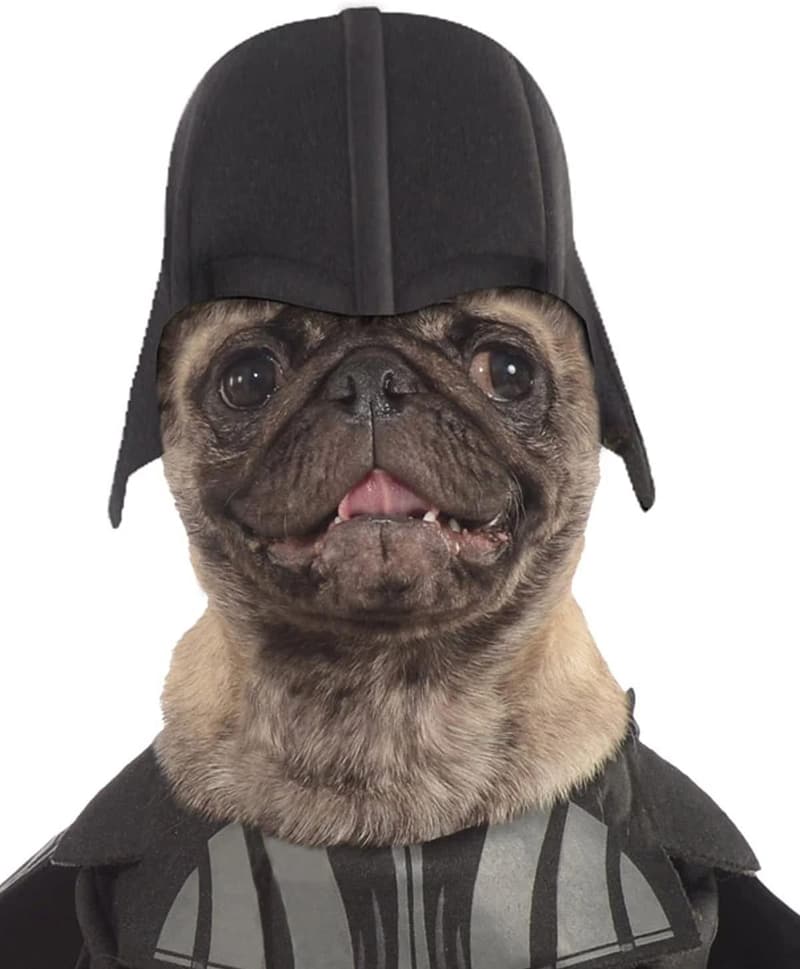 Darth Vader Pet Costume - Large | Star Wars Collection