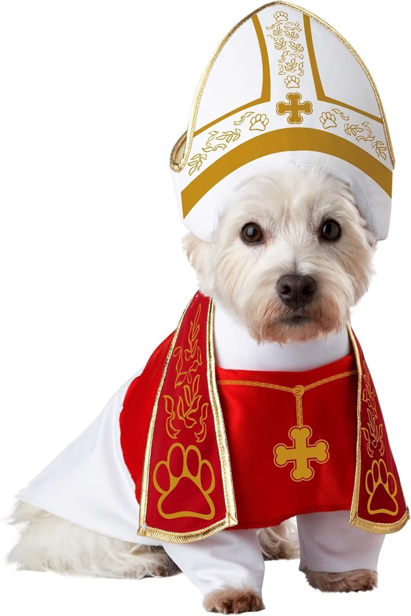 Medium Holy Hound Pet Costume