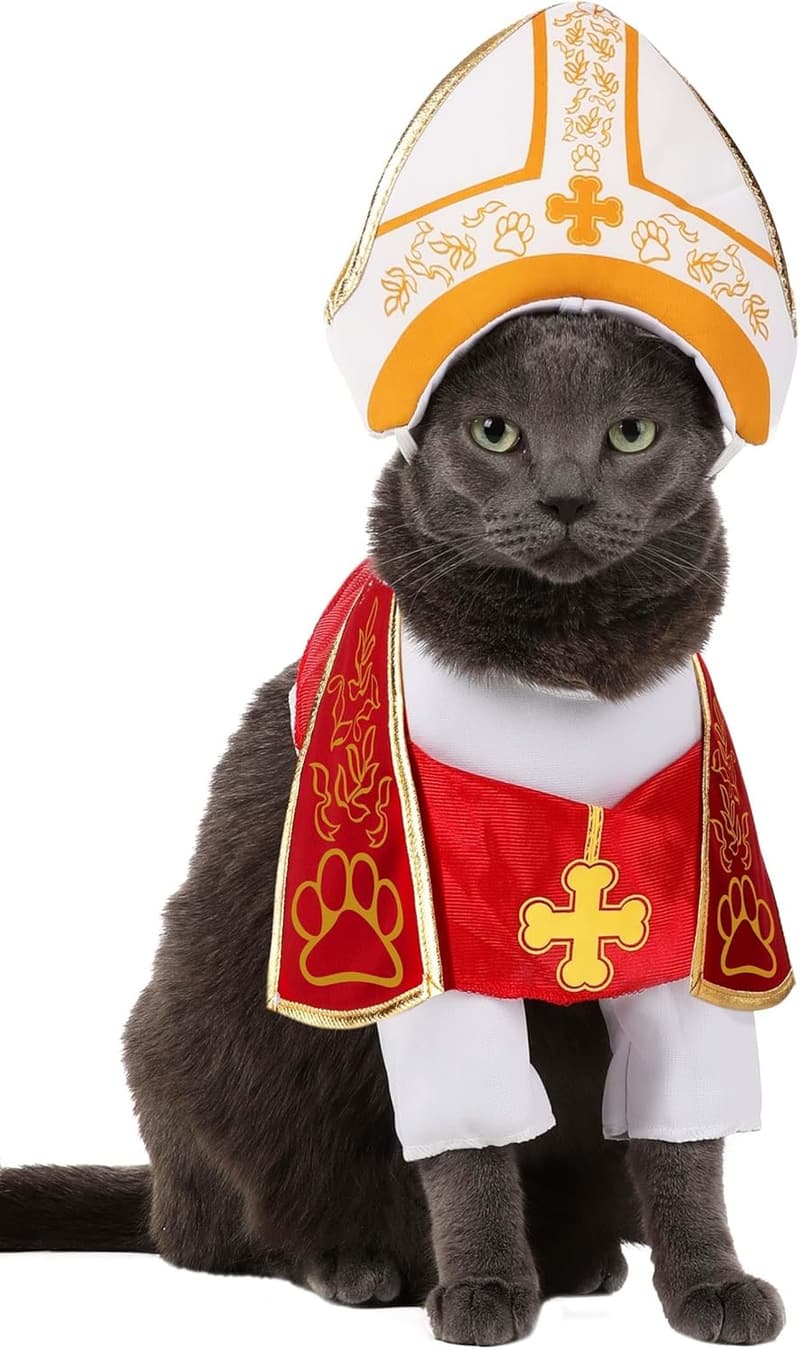 Medium Holy Hound Pet Costume