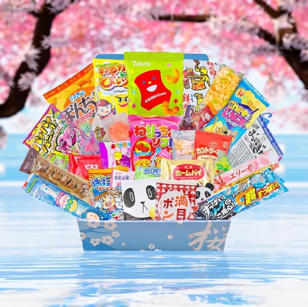 Japanese Dagashi Candy Snack Gift Set with English Pamphlet, 30 Pieces