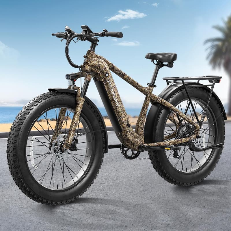 960W Fat Tire Electric Mountain Bike with Removable Battery
