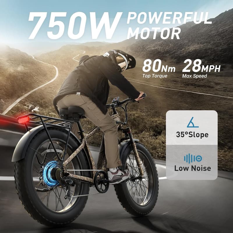 960W Fat Tire Electric Mountain Bike with Removable Battery