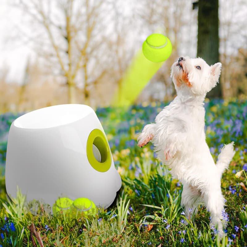Automatic Dog Ball Launcher for Hands-Free Play