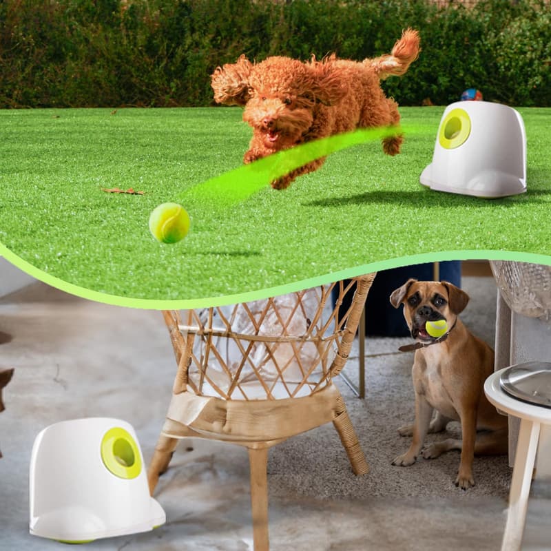 Automatic Dog Ball Launcher for Hands-Free Play