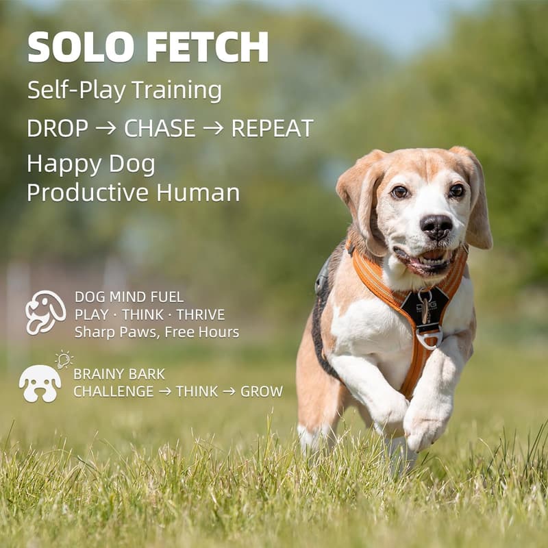 Large Remote-Controlled Dog Ball Launcher with 6 Durable Balls