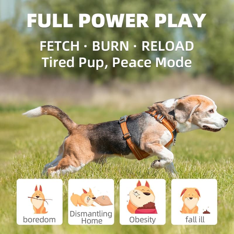Large Remote-Controlled Dog Ball Launcher with 6 Durable Balls