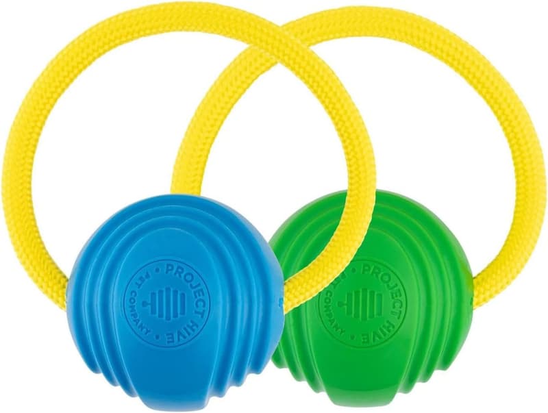 Interactive Dog Ball Thrower with 2 Looped Balls - Green & Blue