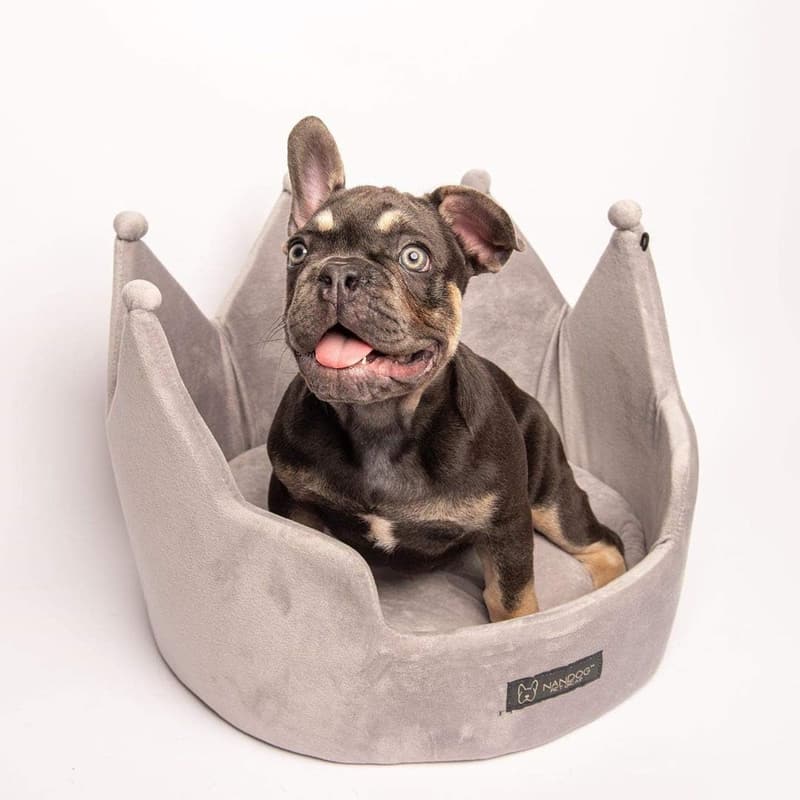 Cozy Gray Round Bed for Small Dogs & Cats - Washable Plush