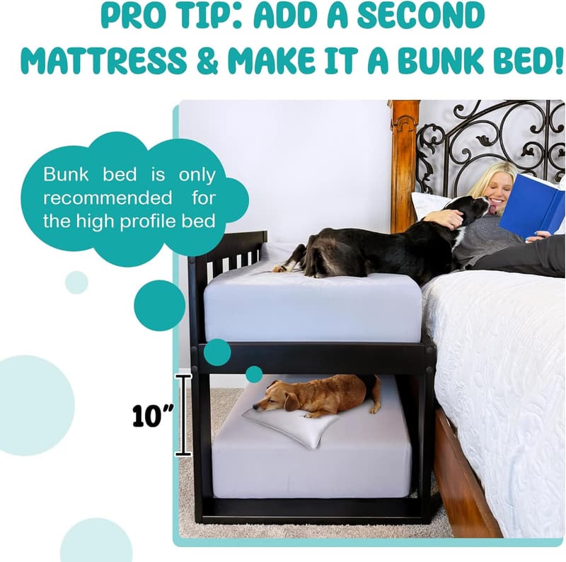 Orthopedic Memory Foam Dog Bed with Cooling Gel - Standard
