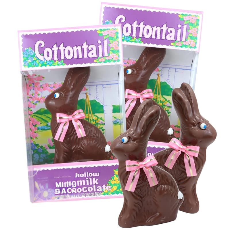 Easter Chocolate Bunny Gift - Individually Boxed, 3.5 oz (2 Pack)