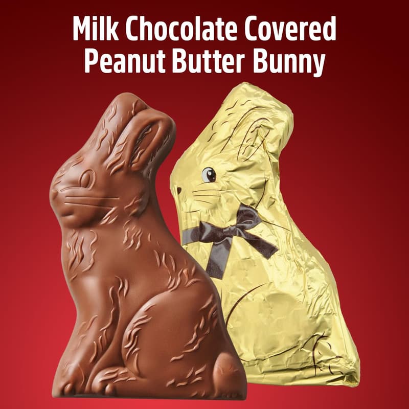 Easter Gift Box - 5 oz Milk Chocolate Bunnies for Sharing