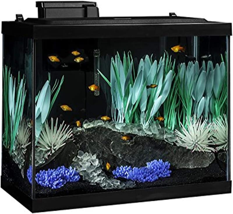 Tetra ColorFusion 20-Gallon Aquarium Kit with LED Lighting