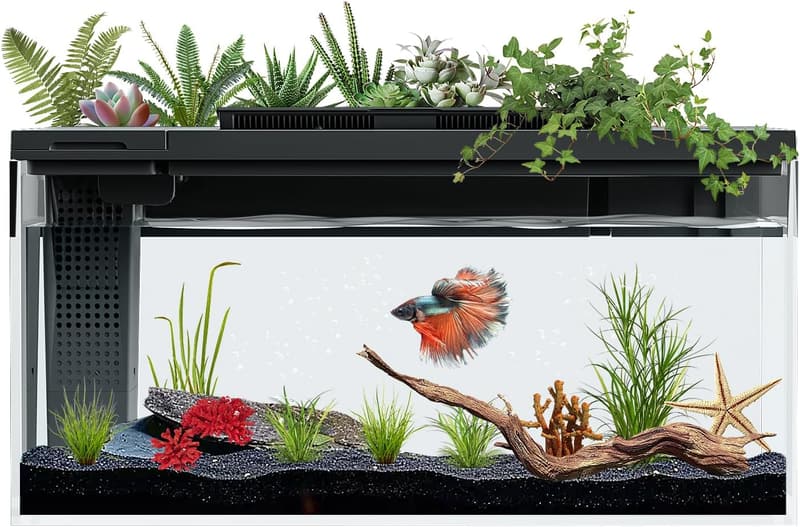 Self-Cleaning 3.7 Gallon Betta Fish Tank Kit with Filter and Light