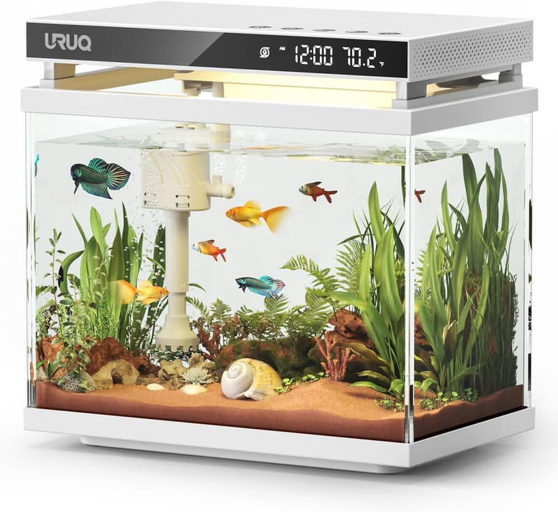 Smart Aquarium Kit: 2 Gallon Glass Tank with Self-Cleaning Filter